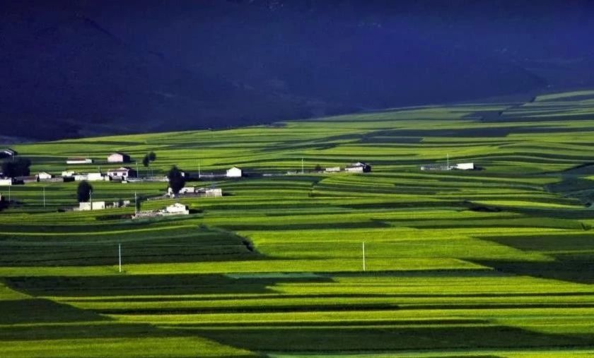 【農(nóng)業(yè)政策資訊】中央財(cái)政助農(nóng)業(yè)綠色發(fā)展，這才是未來(lái)農(nóng)業(yè)發(fā)展方向！